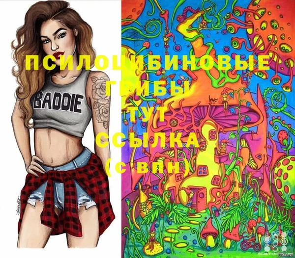 ПСИЛОЦИБИНОВЫЕ ГРИБЫ Надым