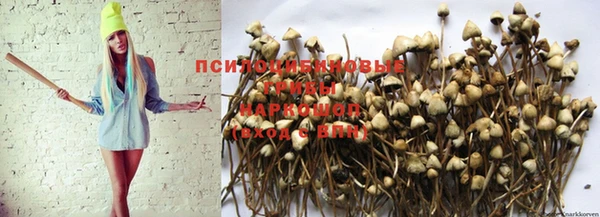 ПСИЛОЦИБИНОВЫЕ ГРИБЫ Надым
