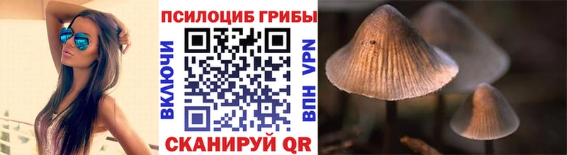 купить  сайты  Надым  Галлюциногенные грибы мицелий 